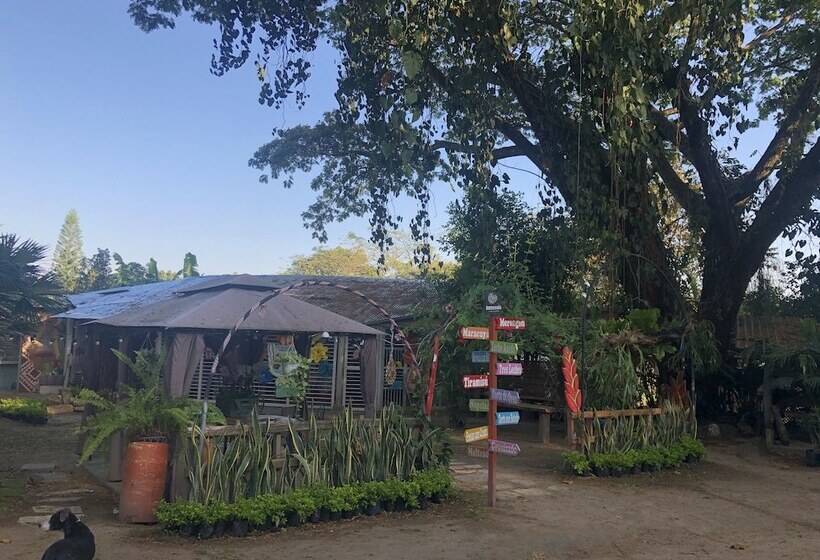 Ecohotel Ambrosia Lodge