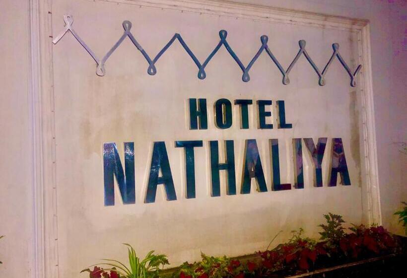 酒店 Nathaliya