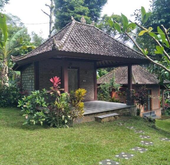 پانسیون Purana Guest House