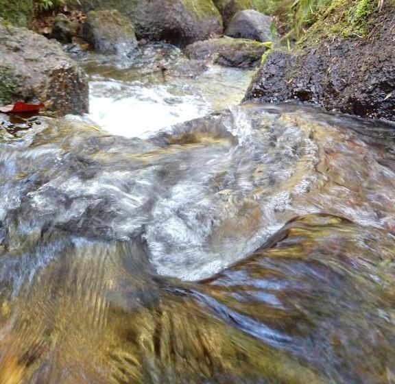 ペンション Recanto Das Pedras