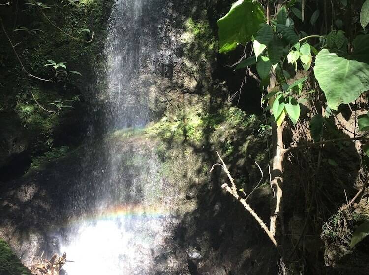 پانسیون Wayra Natura