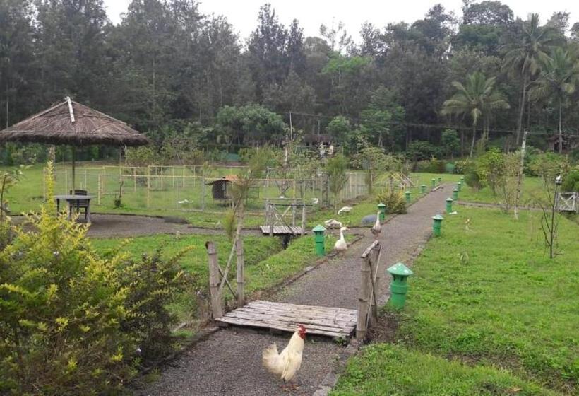 Tiger Tracks Resort