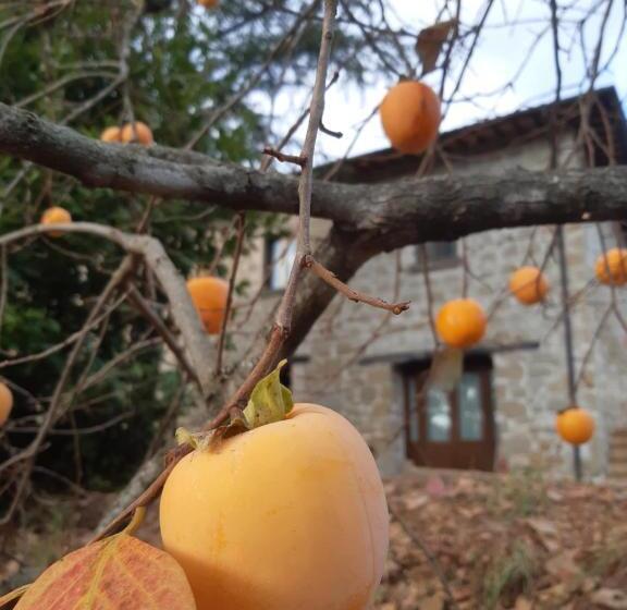Villa La Passione B&b