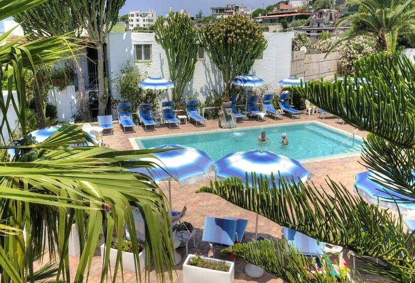 Room In B&b   Forio With A Breathtaking View, For 2 People No5469