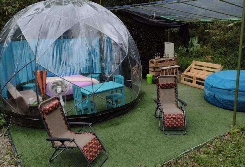 Отель Cassacha Glamping