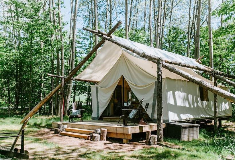 استراحتگاه Whispering Springs Wilderness Retreat