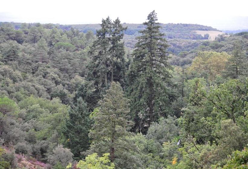 ベッドアンドブレックファースト La Forge De Montolieu