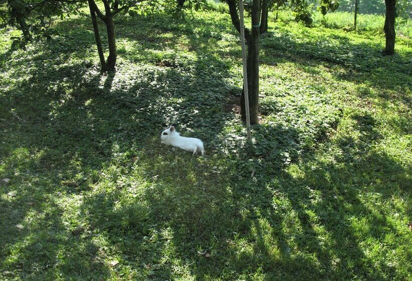 Отель Bioagriturismo Vegan Campo Di Cielo