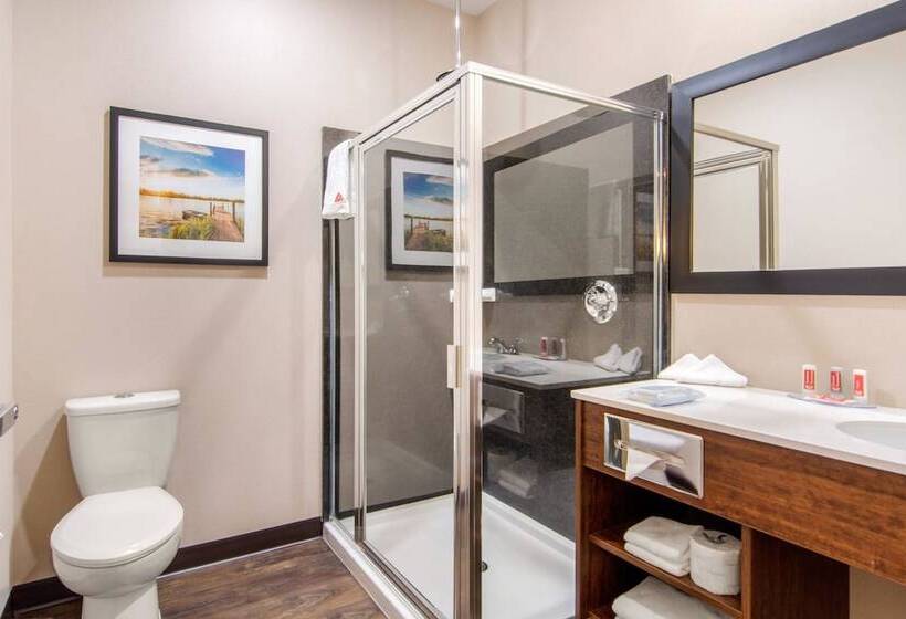 فندق Econo Lodge