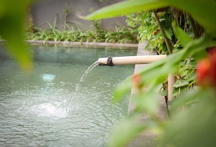 Purana Boutique Resort