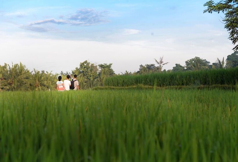 Fotos del hotel Purana Boutique Resort:  9