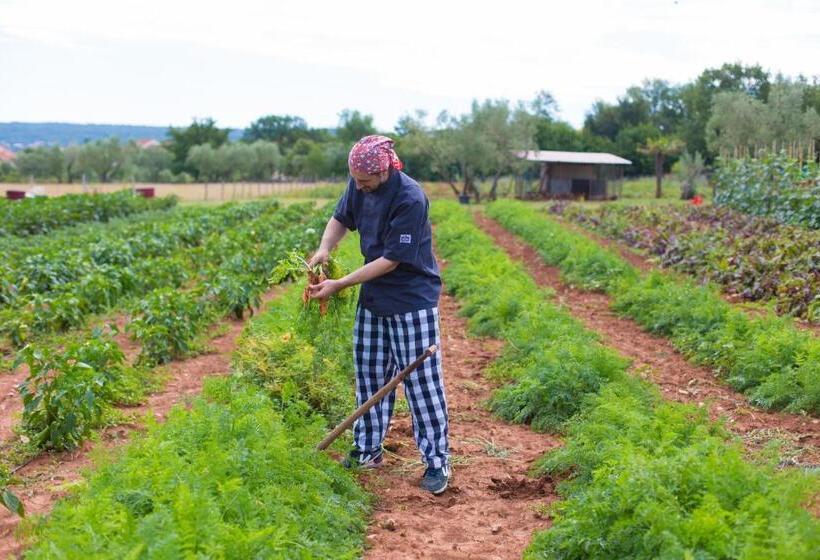 هتل Villa Margaret