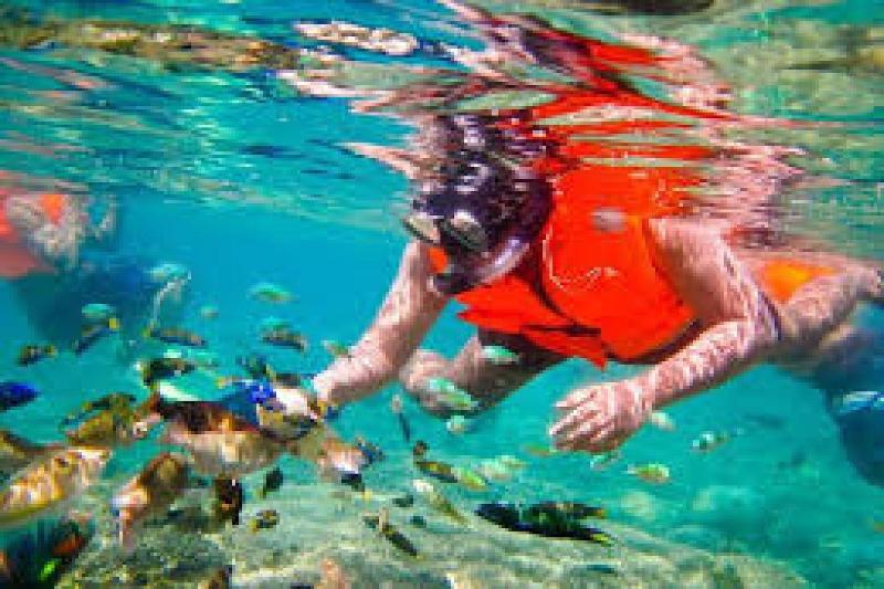 Fotos del hotel Gili Breeze Tropical Bungalows:  19