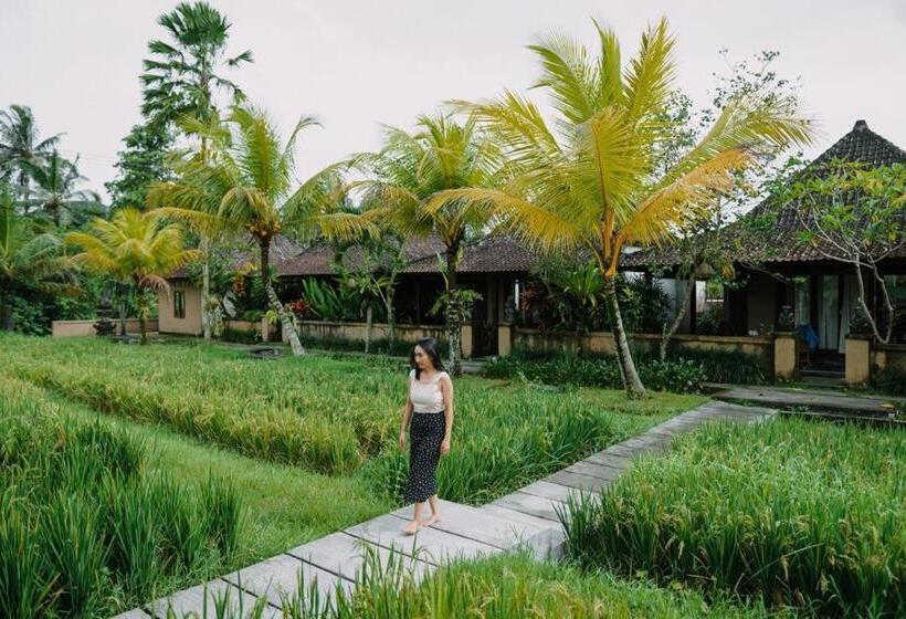 Fotos del hotel Santosha Villas & Spa:  16