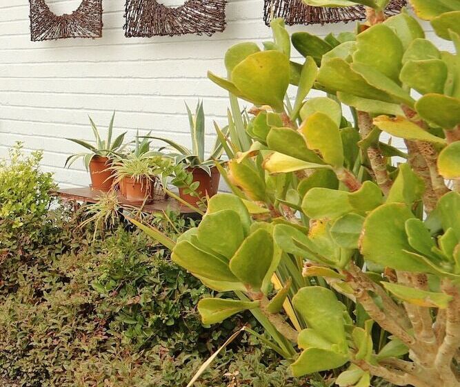 ペンション The Lighthouse Guesthouse