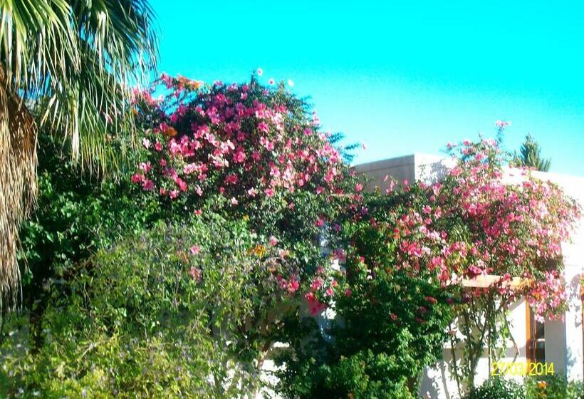 פנסיון Villa Reinet Guest House