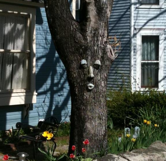 11 Singleton House  Bed And Breakfast