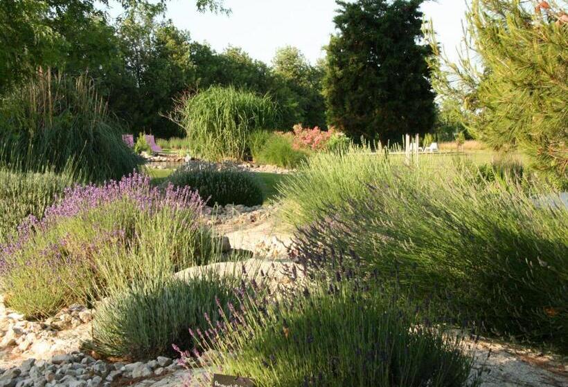 مبيت وإفطار Couleur Lavande