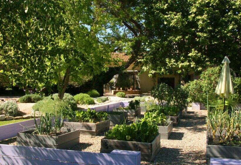 مبيت وإفطار Couleur Lavande