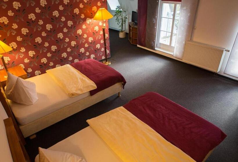 צימר Internat Schloss Spiegelberg