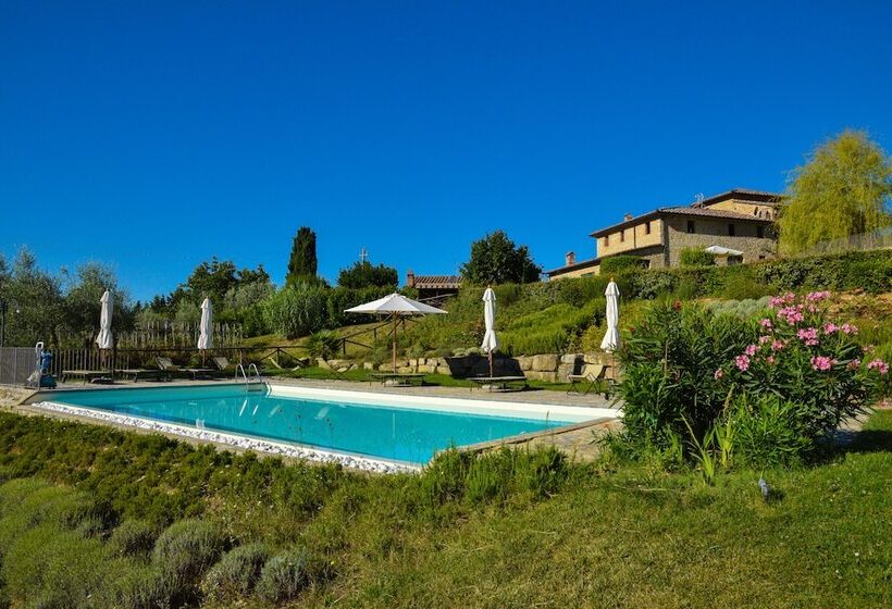 Cavarchino B&b