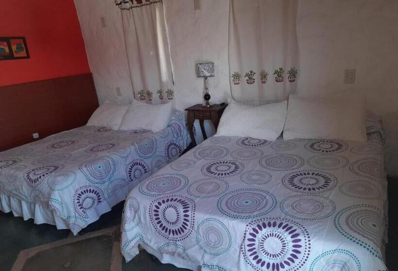 Hostal Andino   Adults Only