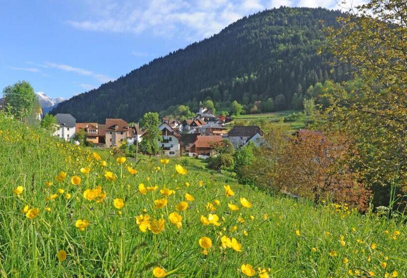 هتل Albergo Diffuso Comeglians