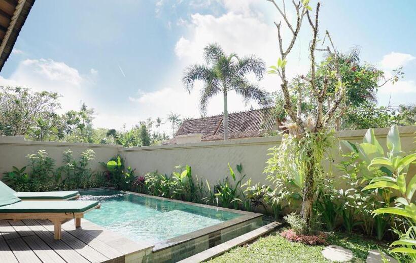 Fotos del hotel Amatara Royal Ganesha:  5