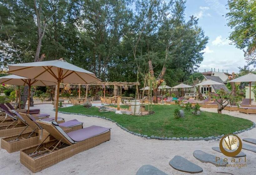 Fotos del hotel Pearl Of Trawangan:  23