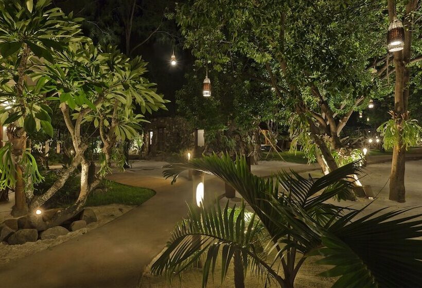 Fotos del hotel Pearl Of Trawangan:  6