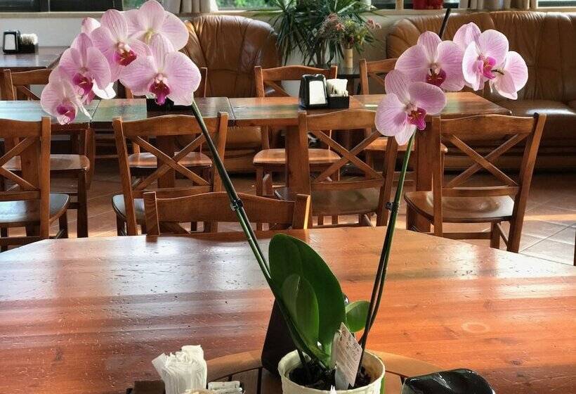 Fotos del hotel Villa Patrizia:  20