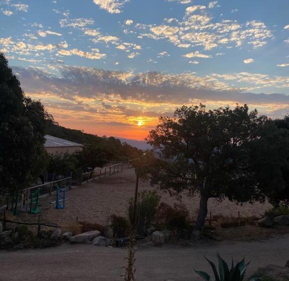 پانسیون Domaine De Piscia