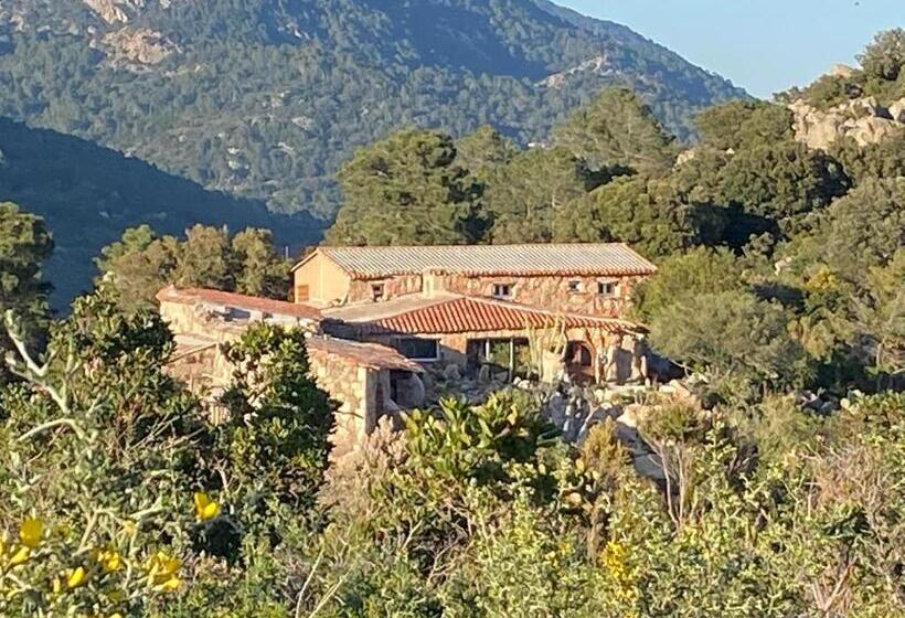 پانسیون Domaine De Piscia