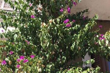 تختخواب و صبحانه Caseddu Di Chjarastella