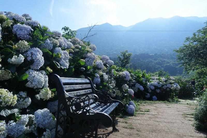 هتل Aloft Taipei Beitou