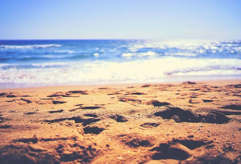 فندق Hôtel De La Mer & Spa