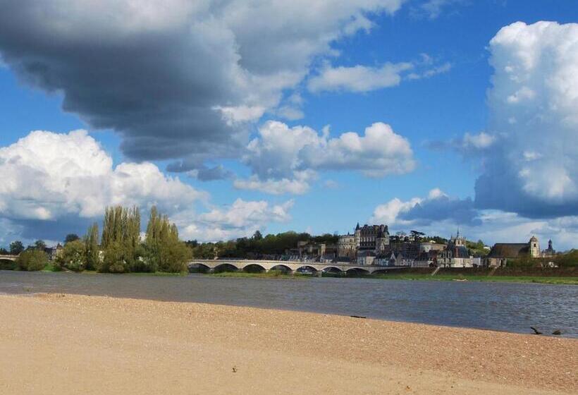 هتل L'aerogare Amboise