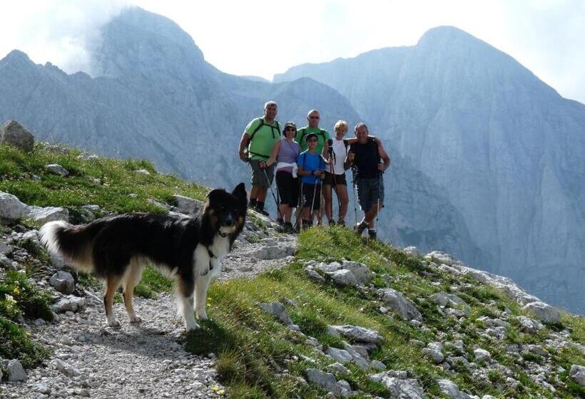 Alpotel Dolomiten