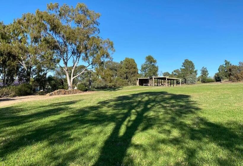 Apollo Motel Parkes