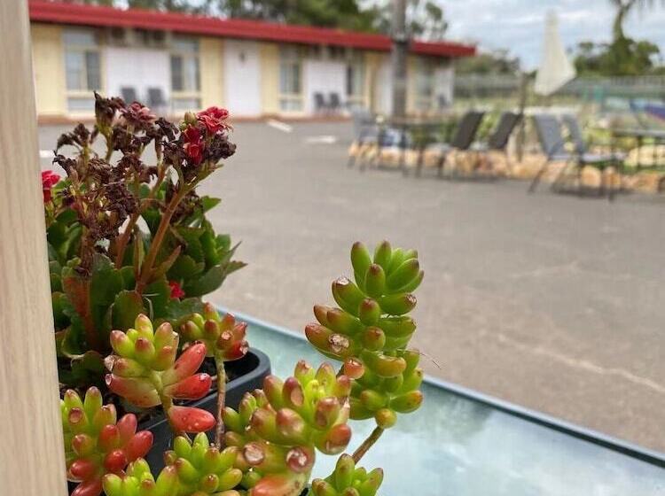 Apollo Motel Parkes