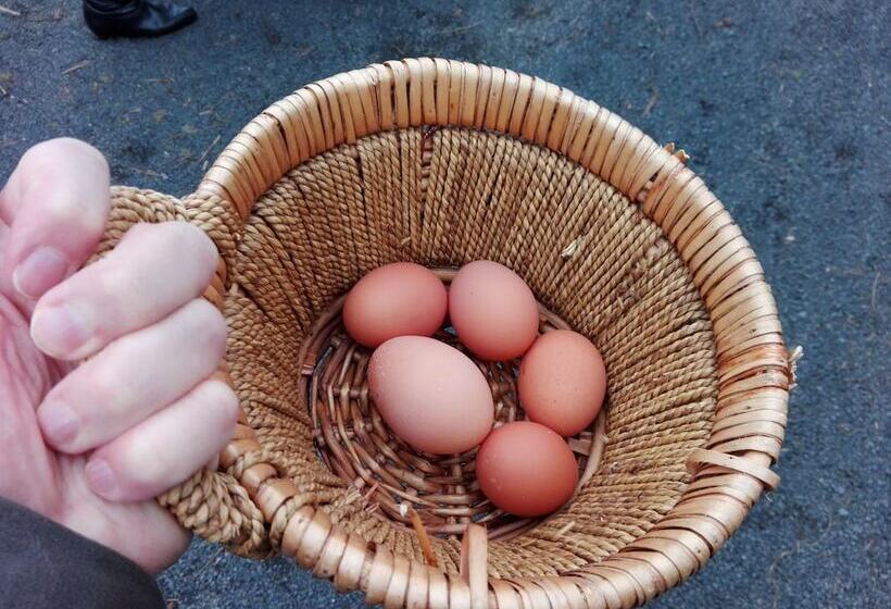 Height Of Dunedin Serviced Farm Stay