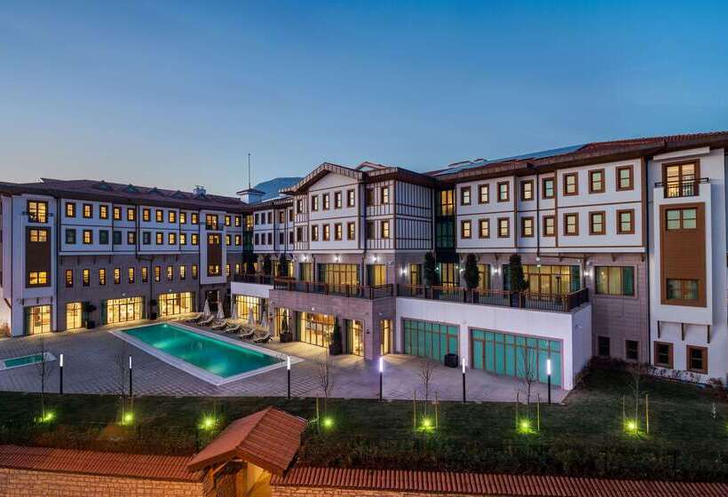 ホテル Hilton Garden Inn Safranbolu