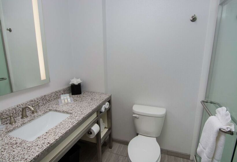 בית מלון כפרי Hilton Garden Inn Tampa Suncoast Parkway