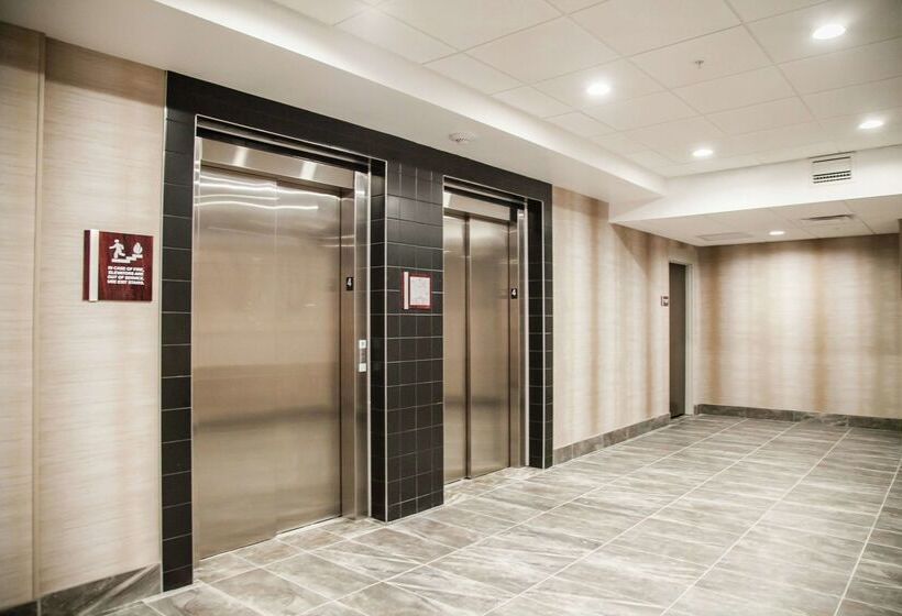 בית מלון כפרי Hilton Garden Inn Tampa Suncoast Parkway