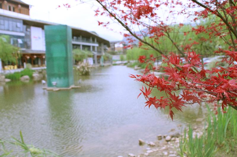 هتل Holiday Inn Express Emei Mountain, An Ihg