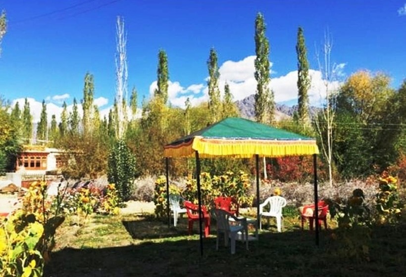 فندق Tih Hundar Resort   Nubra