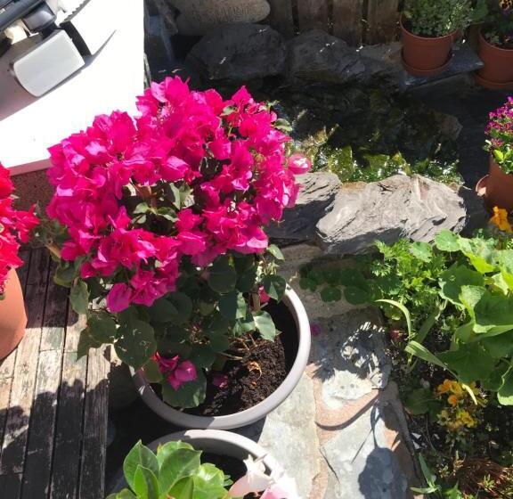 پانسیون Poltair Guest House
