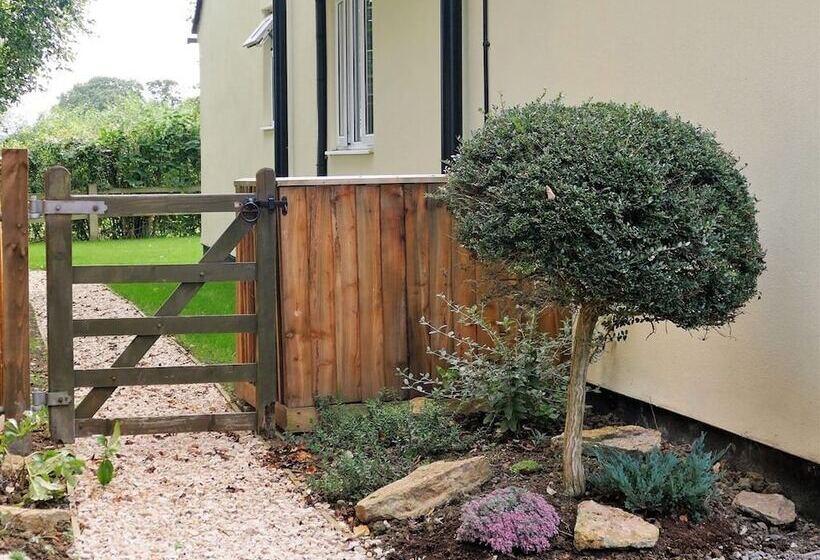 Bed and Breakfast The Willows
