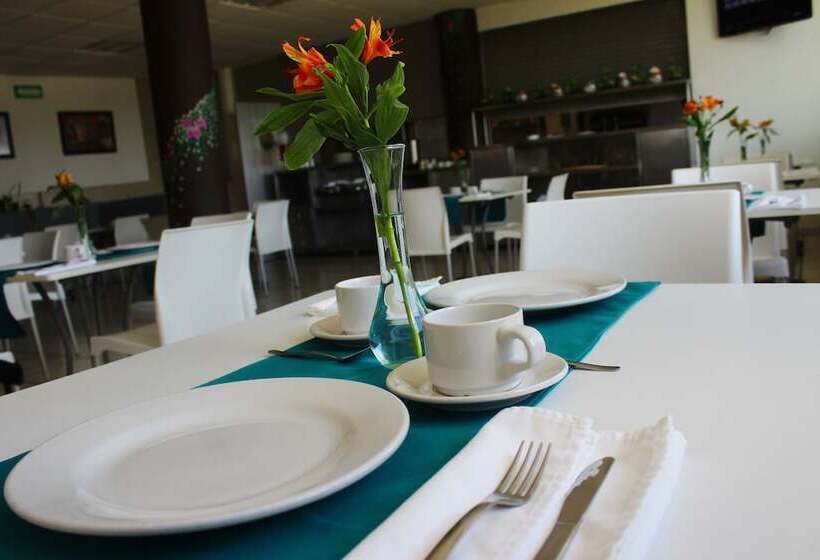 Fotos del hotel Chiapas Hotel Express:  11