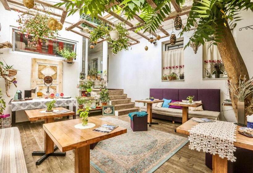 Fotos del hotel Eshe Boutique:  24